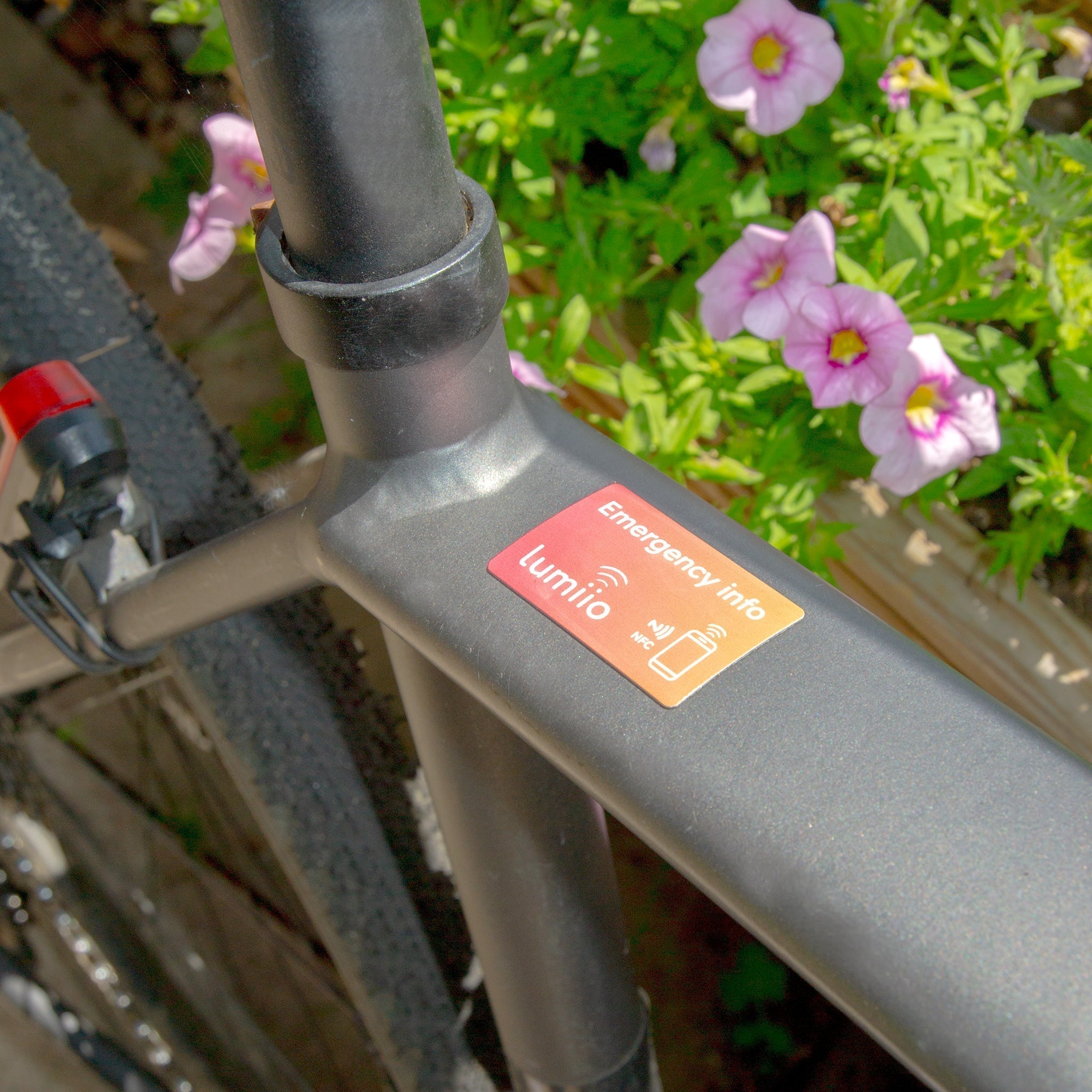 Lumiio have launched new Connect Labels